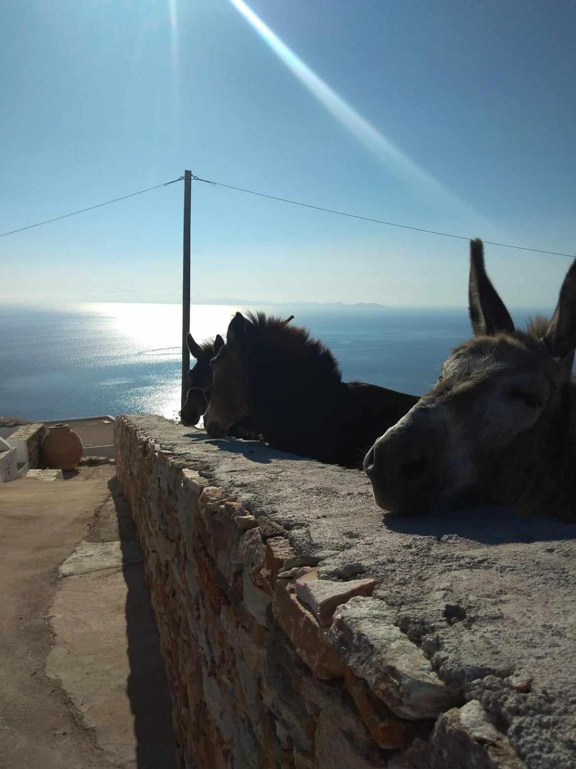 Αnna'S House Villa Apollonía Dış mekan fotoğraf